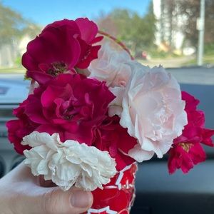 Meet your Posher, Rosalind